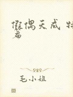 假偶天成 特别篇封面