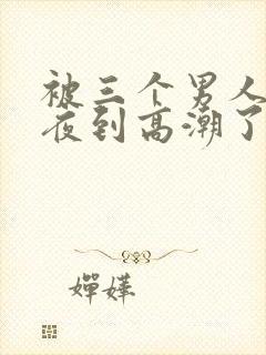 被三个男人躁一夜到高潮了封面