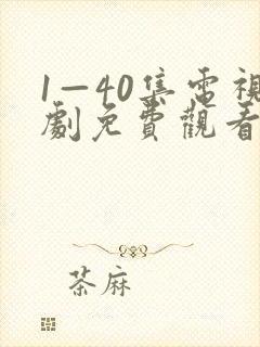 1—40集电视剧免费观看28集
