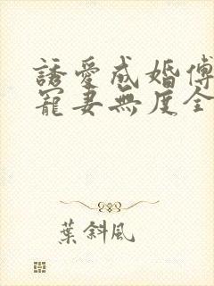 诱爱成婚傅先生宠妻无度全文免费阅读傅封面