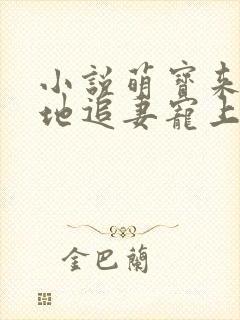 小说萌宝来袭爹地追妻宠上天