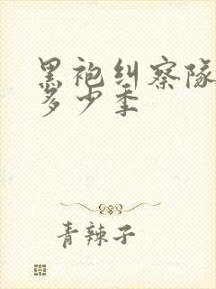 黑袍纠察队总共多少季封面