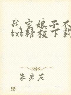 我家娘子不对劲txt精校下载