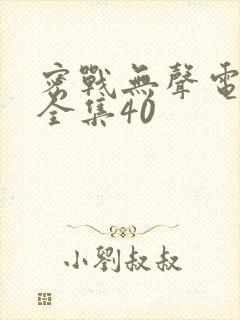 密战无声电视剧全集40