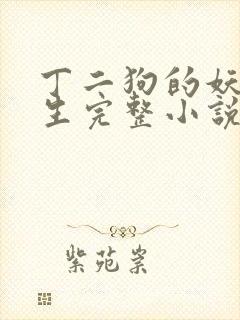 丁二狗的妖孽人生完整小说txt