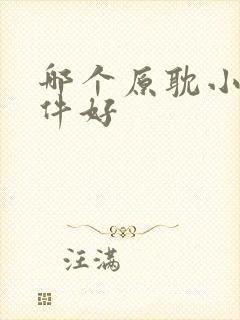 哪个原耽小说软件好