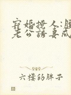 宠婚撩人:腹黑老公诱妻成瘾封面