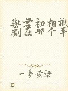 与君初相识电视剧在哪个平台播出封面