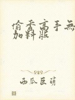 偷香高手无删减加料版