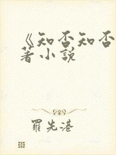 《知否知否》原著小说封面