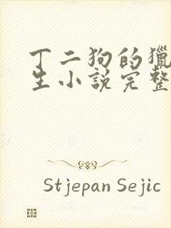 丁二狗的猎艳人生小说完整版封面
