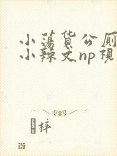 小荡货公厕h文小辣文np视频