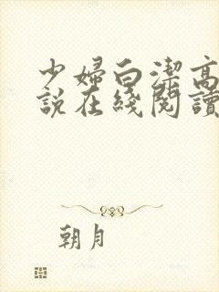 少妇白洁高义小说在线阅读