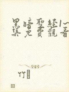 黑暗圣经1~6集免费观看封面