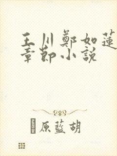 王川郑如莲最新章节小说