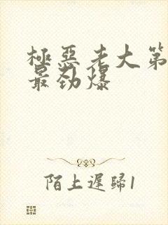 极恶老大第几集最劲爆