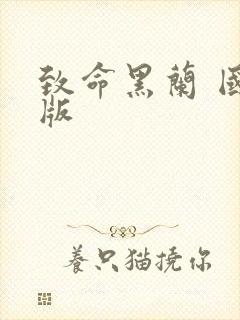 致命黑兰 国语版