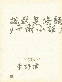 总裁是条骚狗by千树小说免费阅读