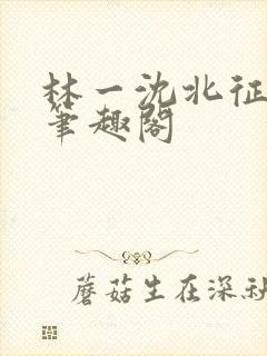 林一沈北征小说笔趣阁