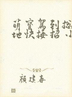 萌宝驾到总裁爹地快接招 小说封面