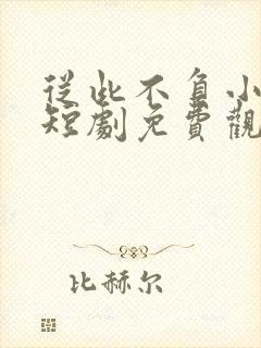 从此不负小相思短剧免费观看全集封面