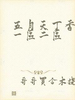 五月天丁香婷婷一区二区