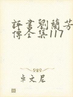 评书刘兰芳岳飞传全集117