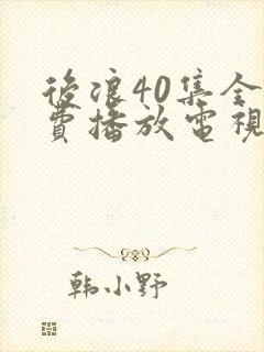 后浪40集全免费播放电视剧封面