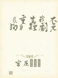 《重生我不是舔狗》短剧免费观看