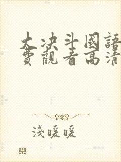 大决斗国语版免费观看高清