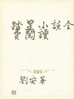 踏星小说全本免费阅读