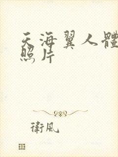 天海翼人体艺术照片