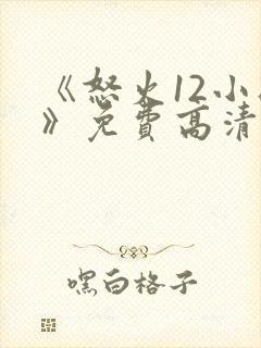 《怒火12小时》免费高清完整版