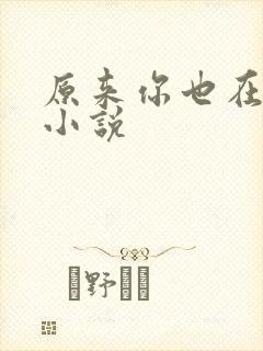 原来你也在这里小说