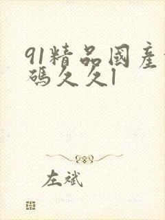 91精品国产乱码久久l