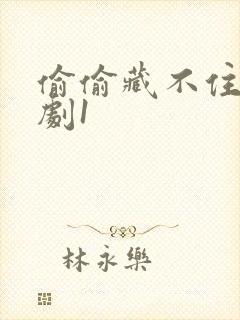 偷偷藏不住广播剧1