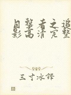 目击者之追凶电影高清完整免费观看