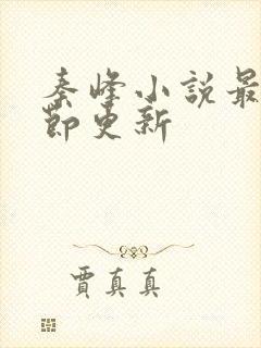 秦峰小说最新章节更新