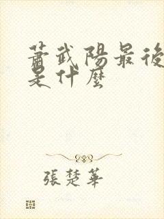 萧武阳最后结局是什么封面