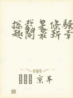 总裁是条骚狗笔趣阁最新章节免费阅读