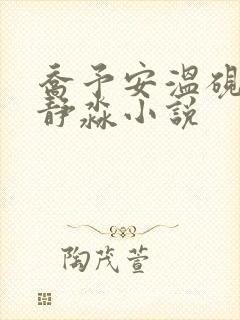 乔予安温砚深沈静淼小说封面