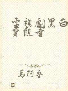 电视剧黑白局免费观看