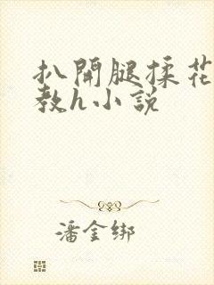 扒开腿揉花蒂调教h小说封面