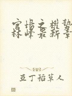 官场之权势滔天林峰最新章节更新内容赵小二
