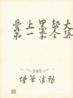 爱上黑帮大佬的第一季全集免费观看封面