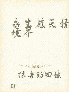 永生应天情什么境界封面