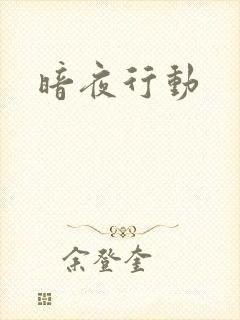 暗夜行动