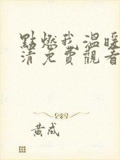 点燃我温暖你高清免费观看完整版