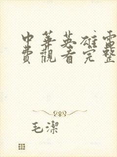 中华英雄电影免费观看完整版