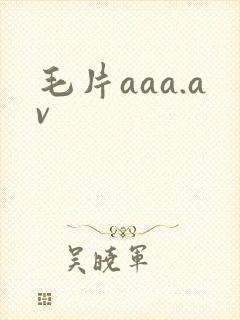 毛片aaa.av封面
